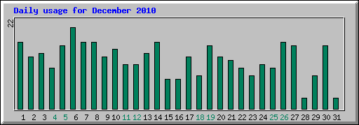Daily usage for December 2010